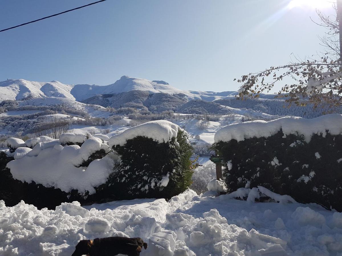 Вилла Chalet Avec Vue Panoramique Sur Le Plomb Du Cantal Сен-Жак-де-Бла Экстерьер фото